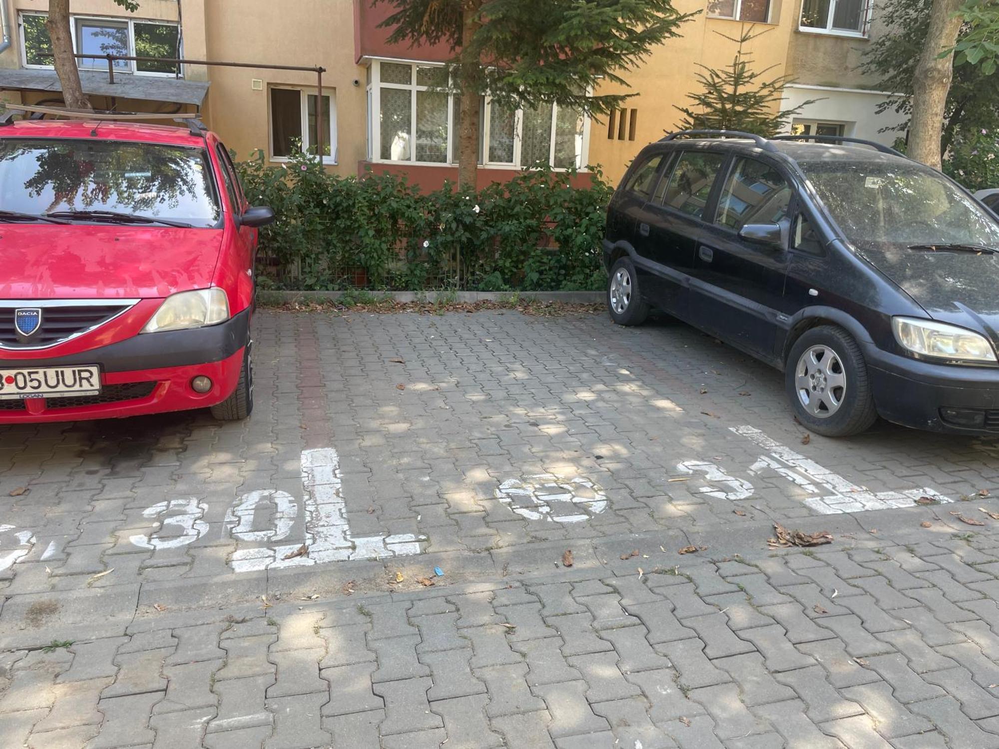 Kitty Sunflower Apartment Alba Iulia Zewnętrze zdjęcie